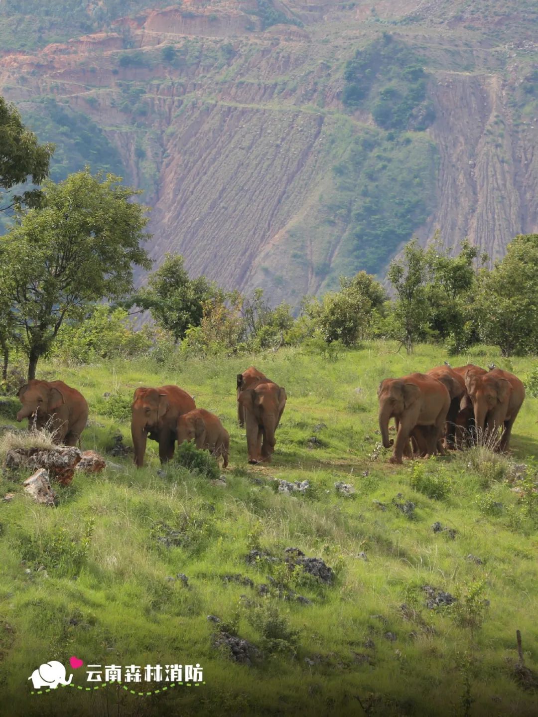 云南省文化和旅游厅
