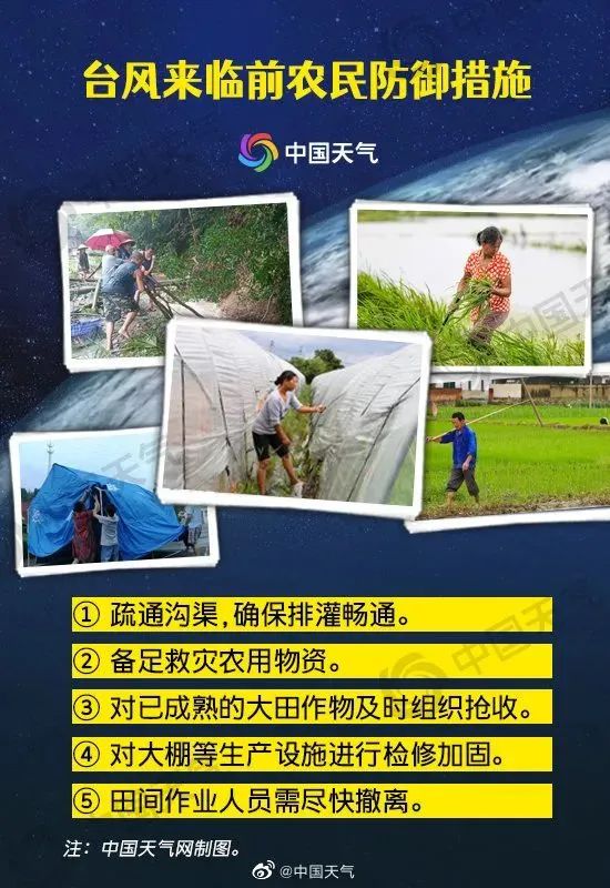 春城晚报