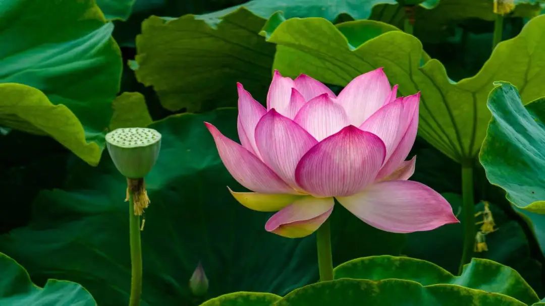 晋宁诗意的栖居地