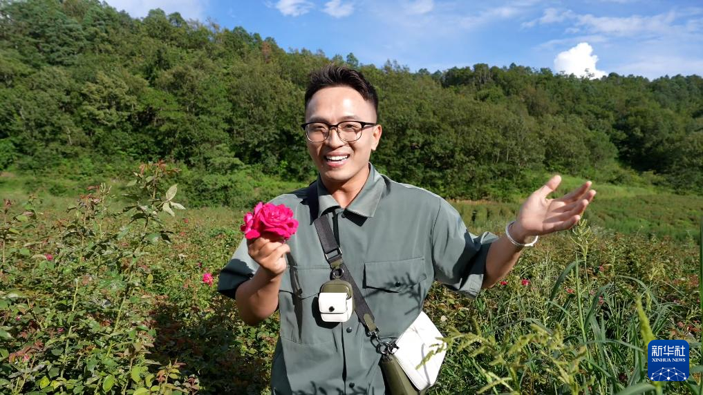 云南省文化和旅游厅