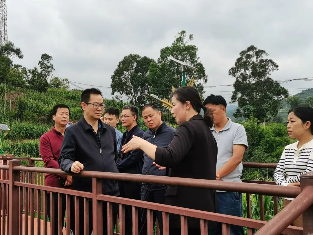 爱上富民
