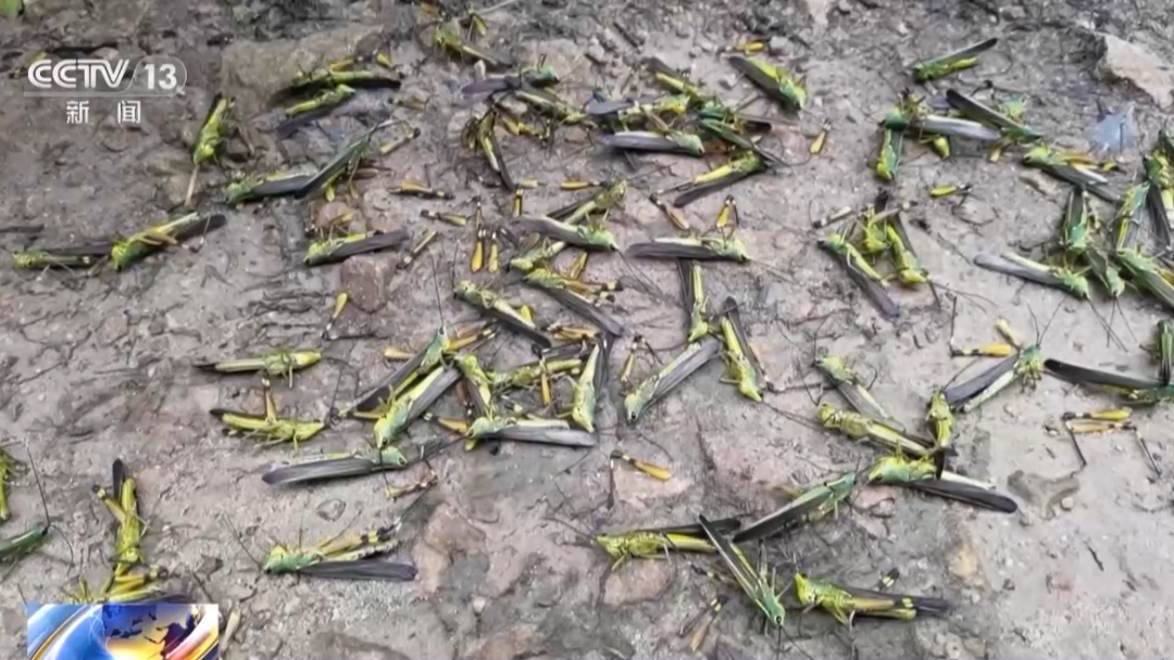 云南广播电视台微信