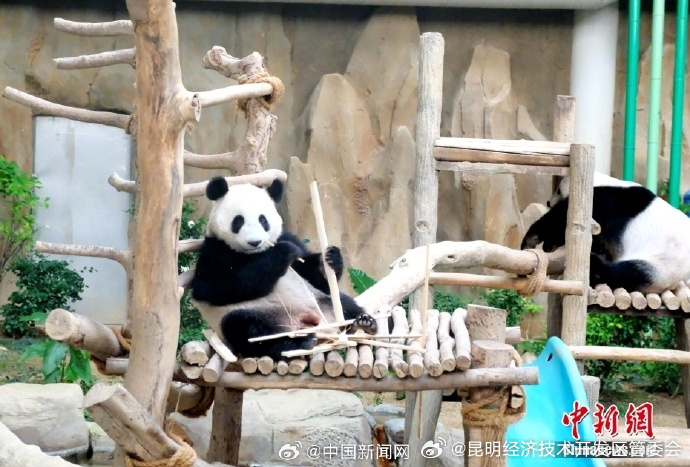 昆明经济技术开发区管委会