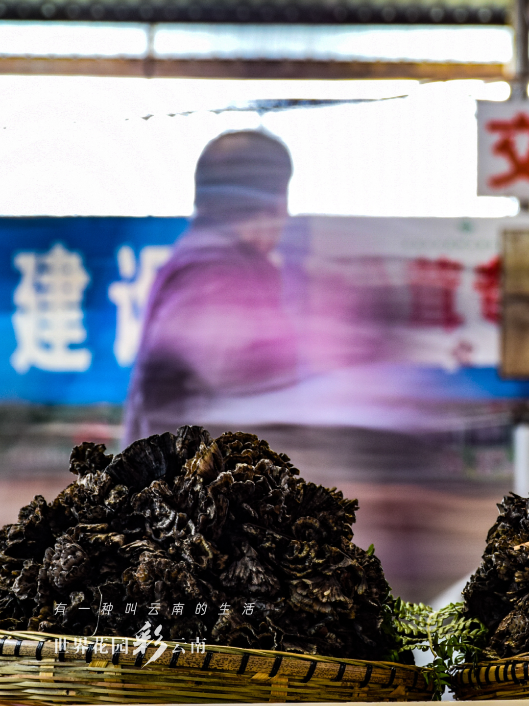 云南省文化和旅游厅