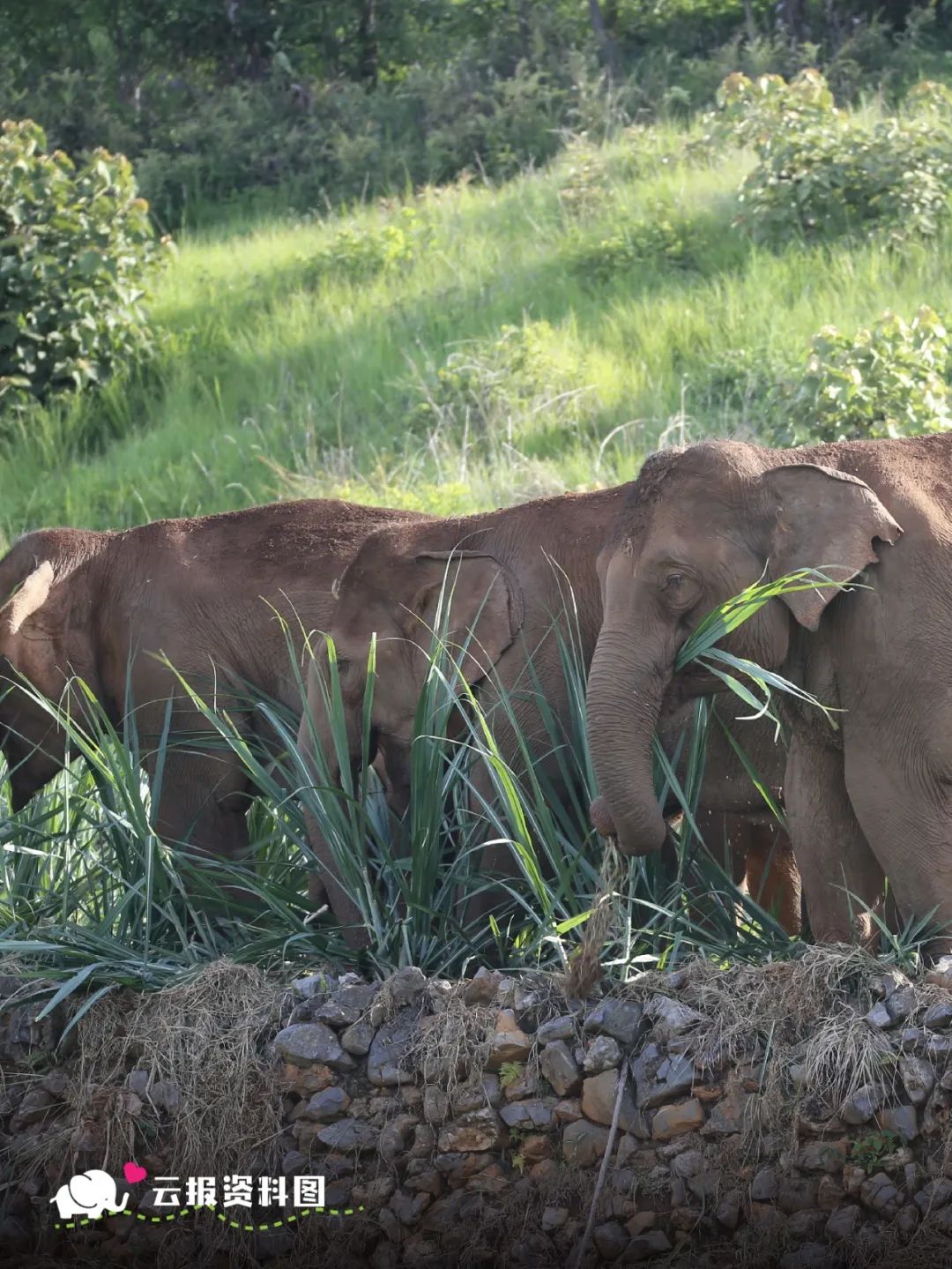 云南省文化和旅游厅