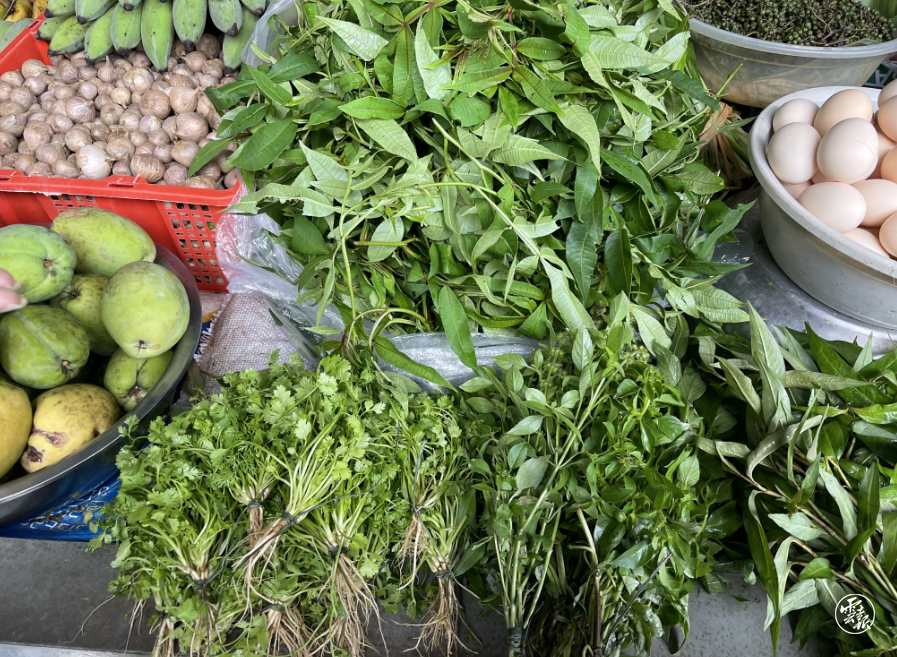 云南省文化和旅游厅