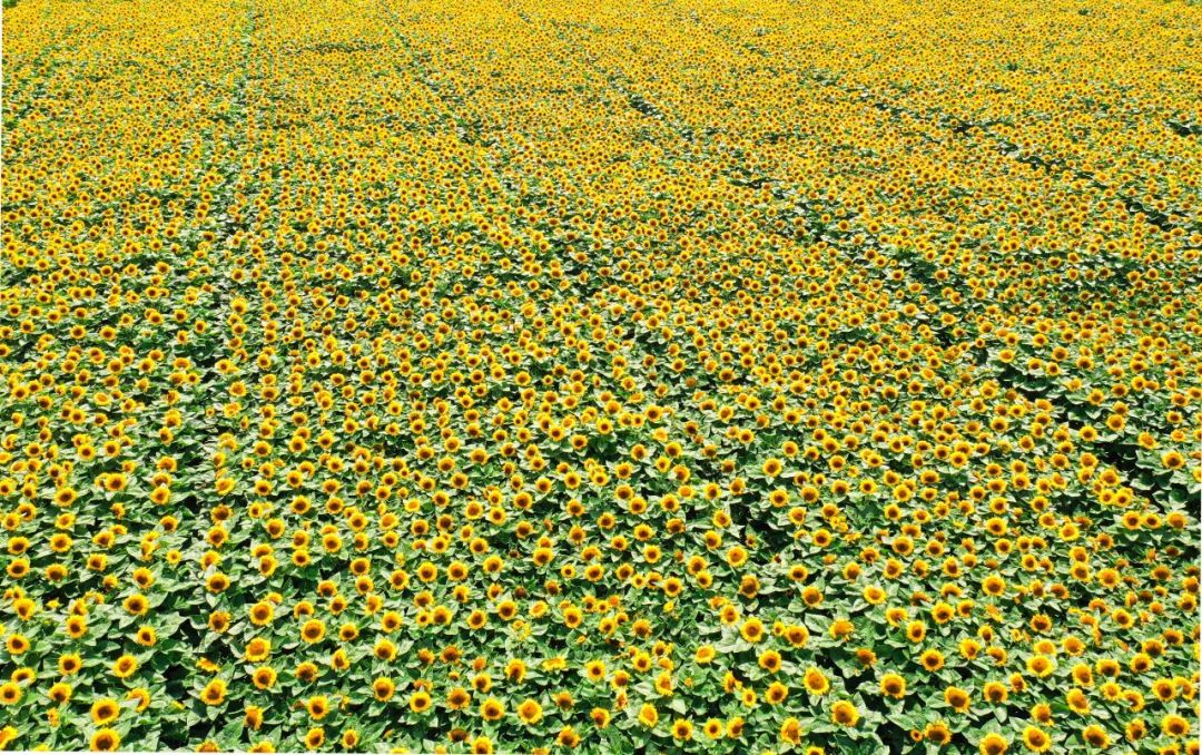 晋宁诗意的栖居地