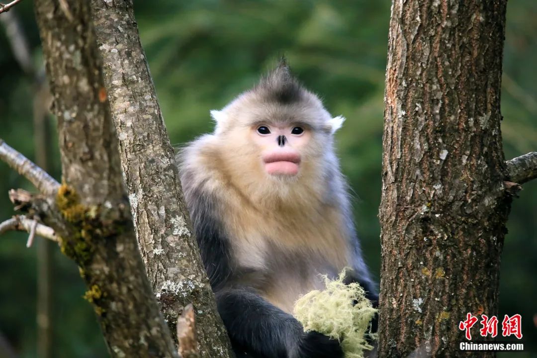 云南省文化和旅游厅