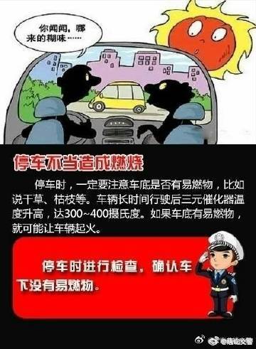 云南曲靖交警