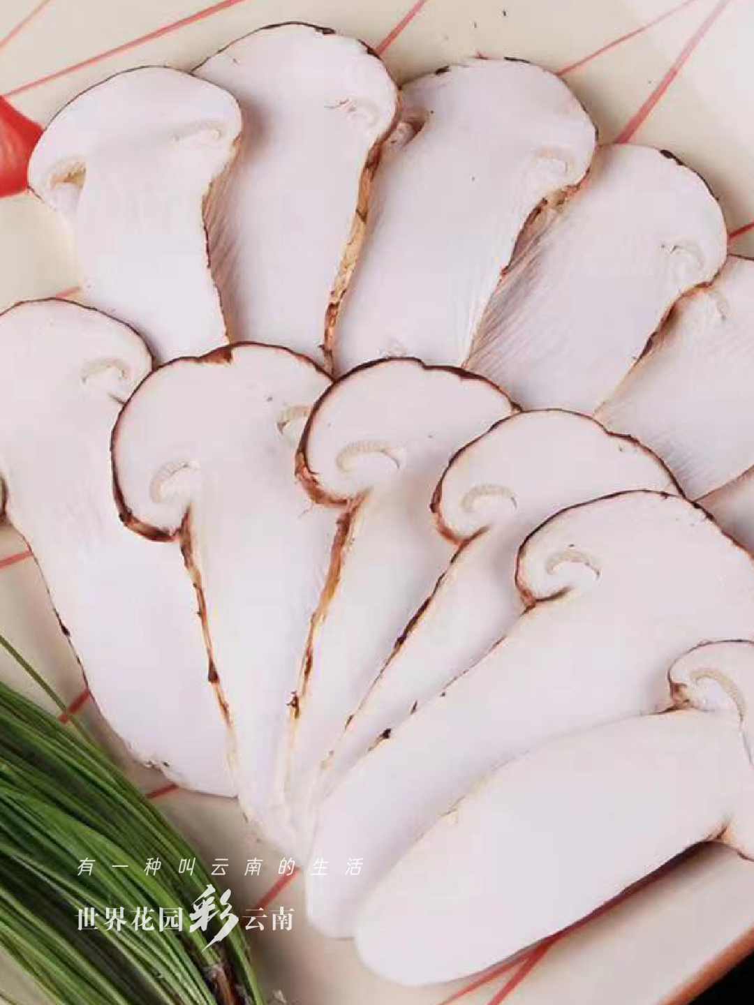 云南省文化和旅游厅