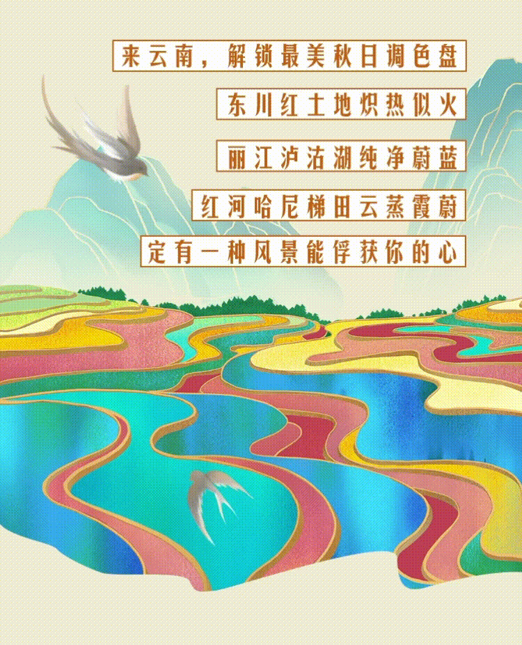 云南省人民政府网