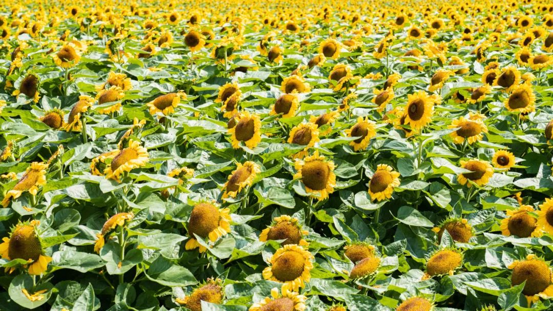 晋宁诗意的栖居地