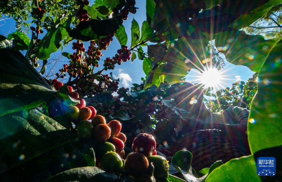 云南省文化和旅游厅