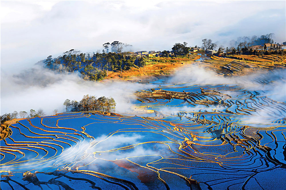 云南省文化和旅游厅