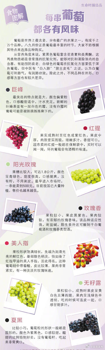 每串葡萄各有不同美味