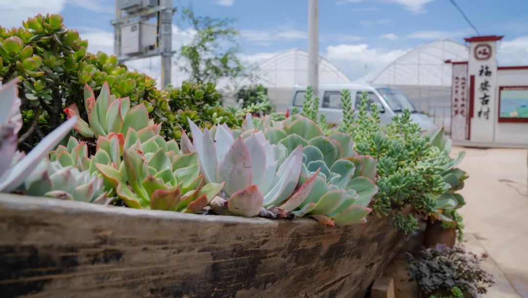 晋宁诗意的栖居地