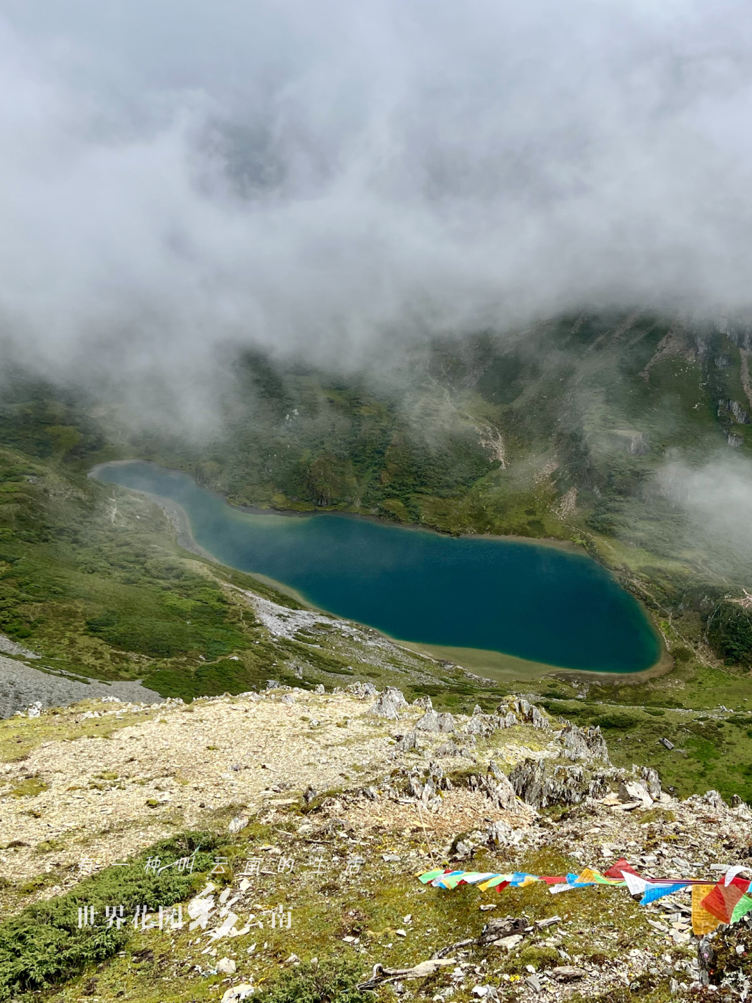 云南省文化和旅游厅