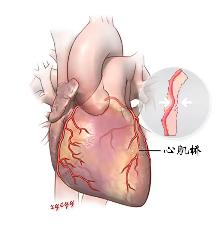 健康腾冲