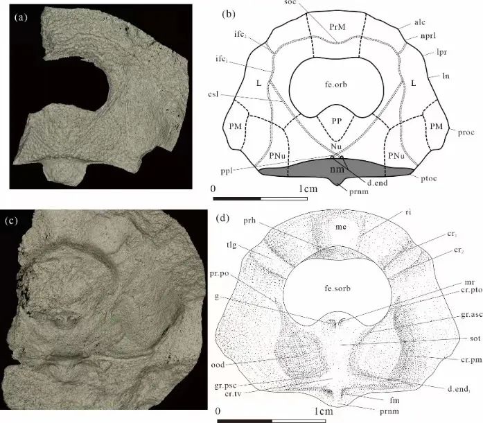 昆明信息港/cnkmxxg