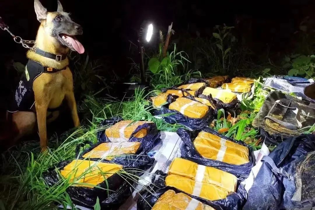 美丽云南微科普