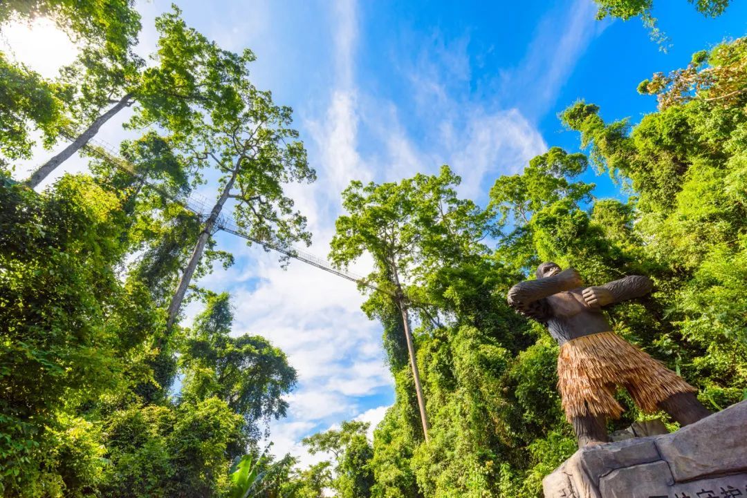 云南省文化和旅游厅