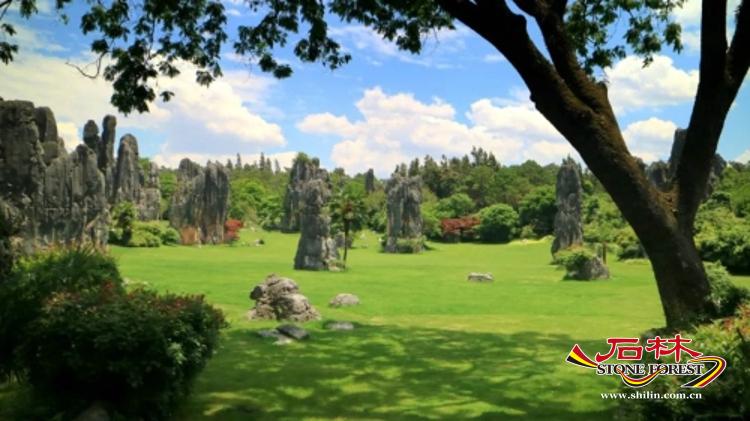 石林旅游网