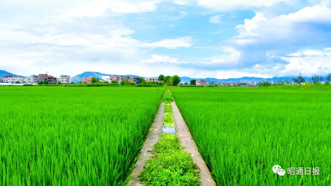 昭通日报