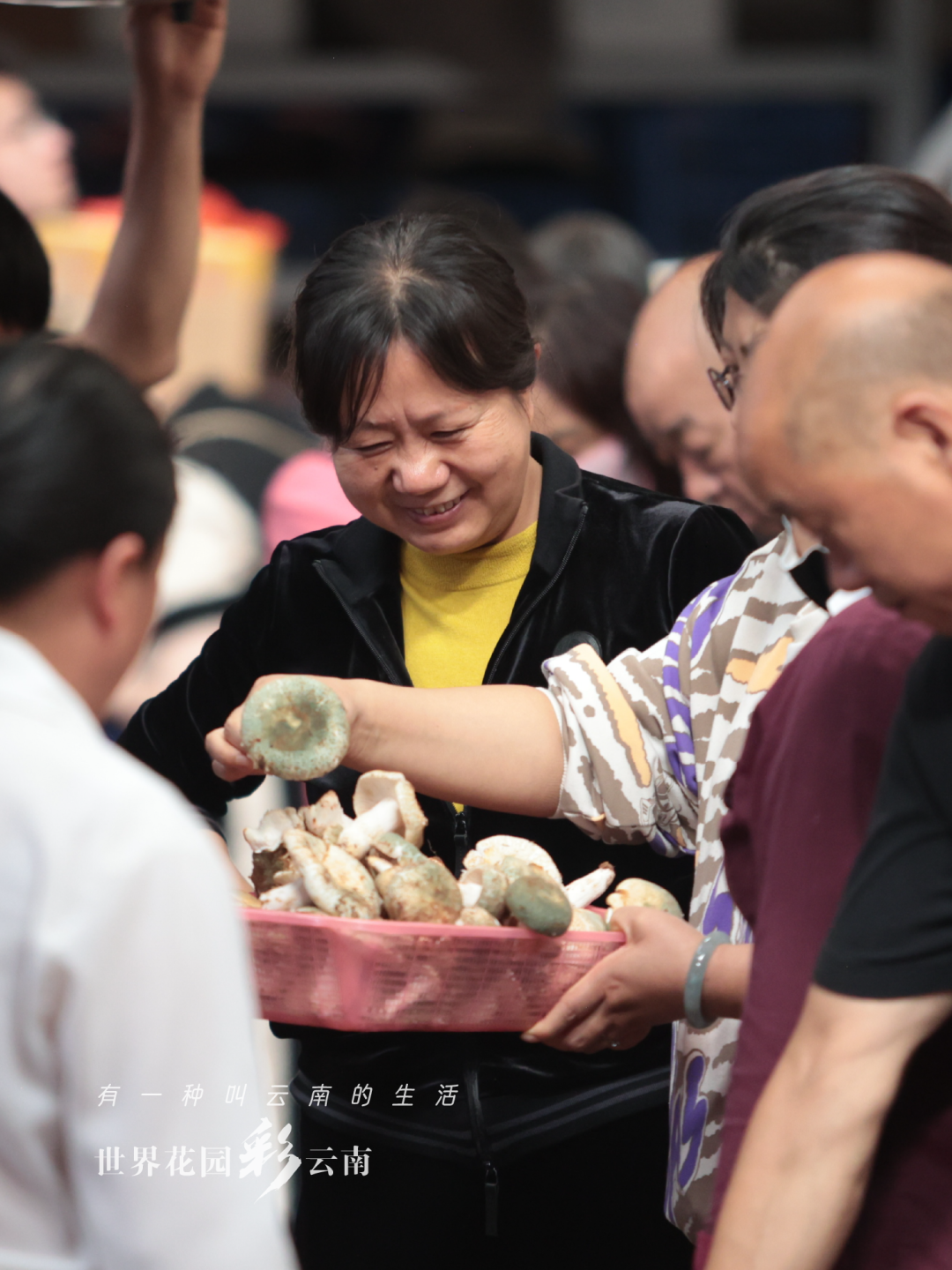 云南省文化和旅游厅