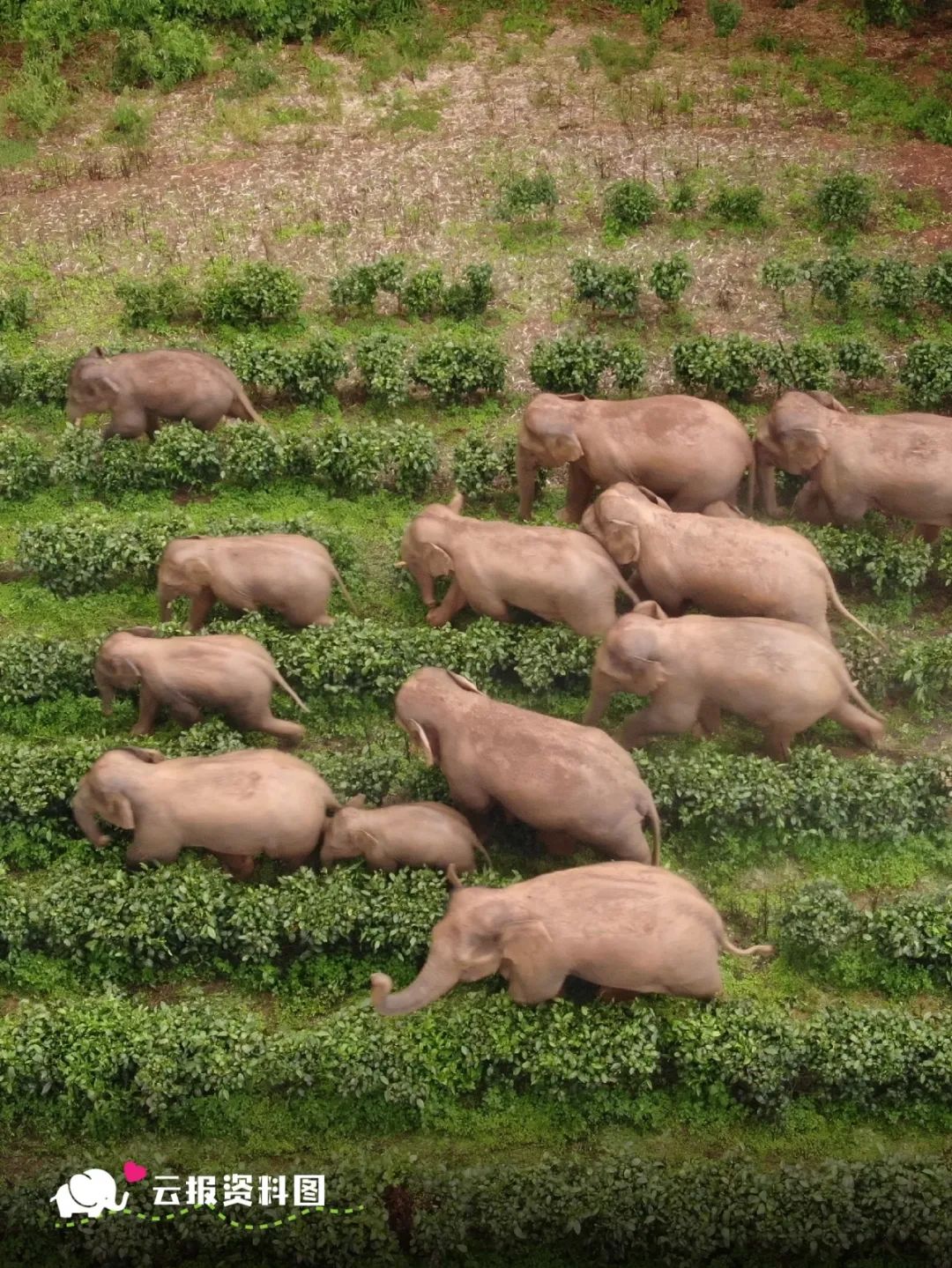 云南省文化和旅游厅
