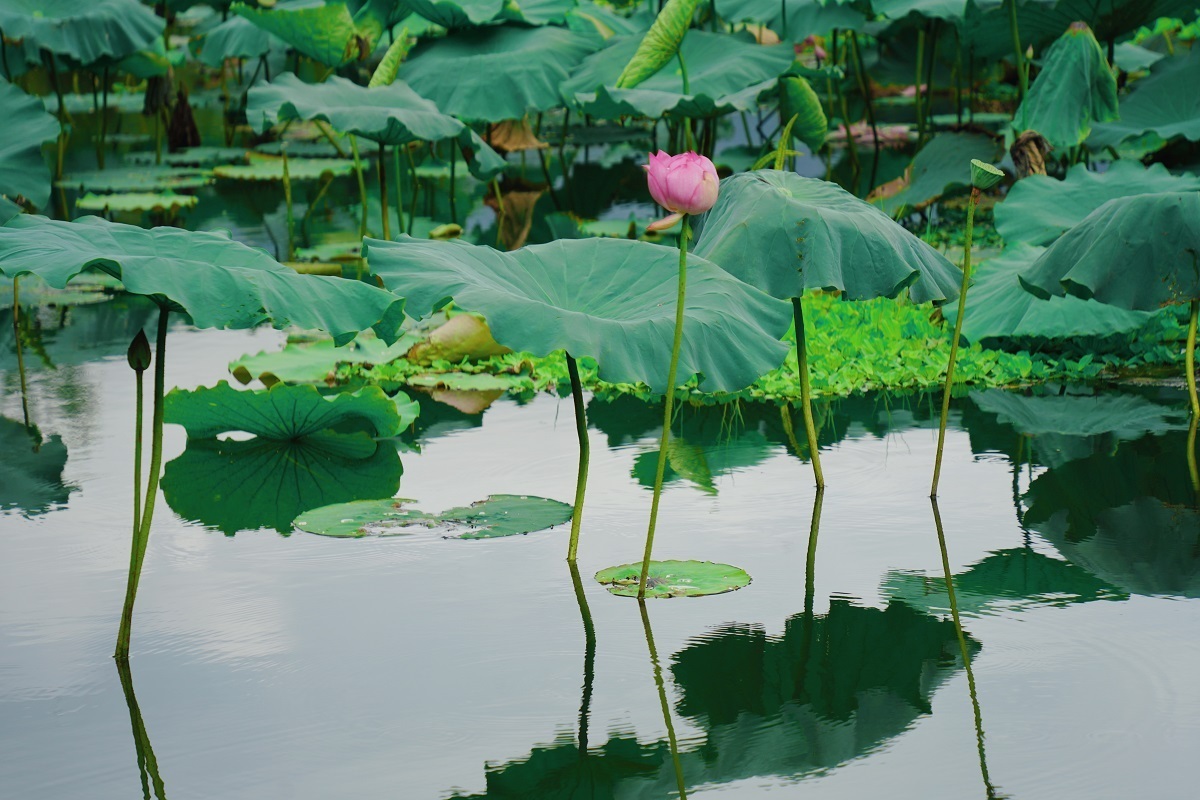 云南省文化和旅游厅