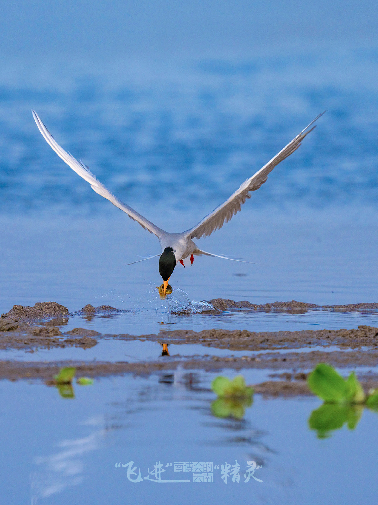 云南省文化和旅游厅