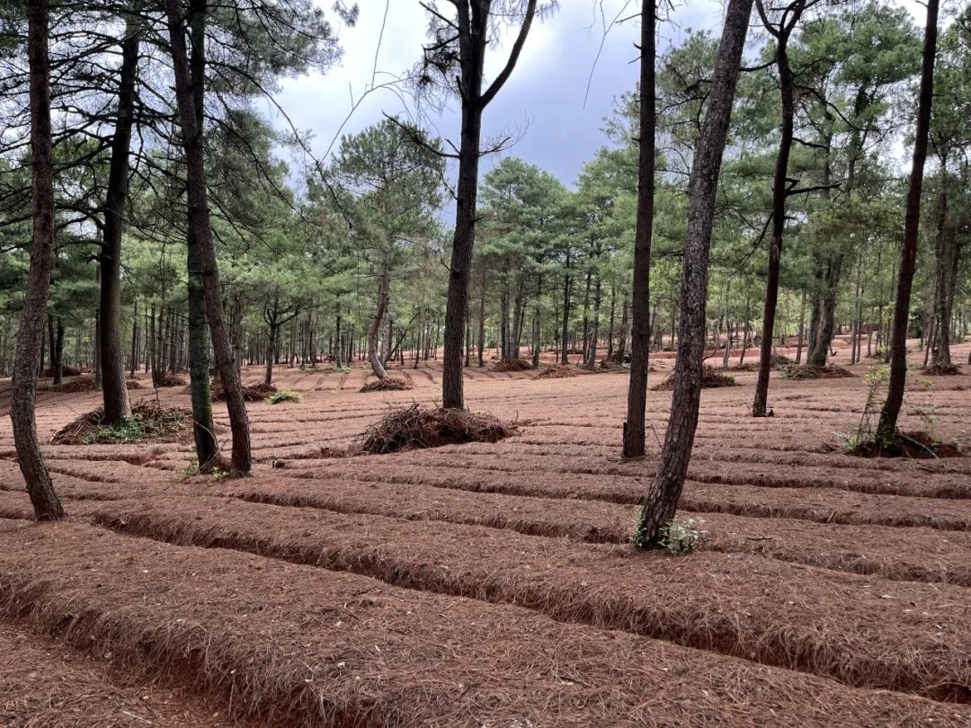晋宁诗意的栖居地
