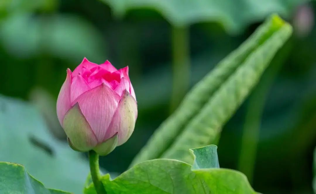 晋宁诗意的栖居地