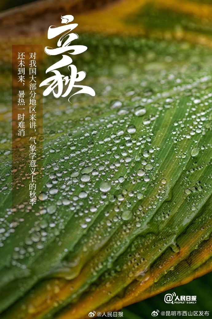 昆明市西山区发布