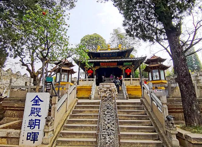 微观盘龙