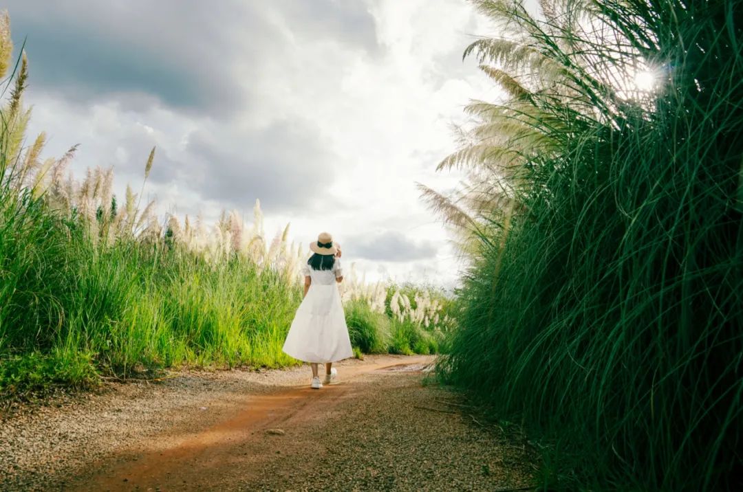 晋宁诗意的栖居地