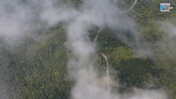 云南省文化和旅游厅