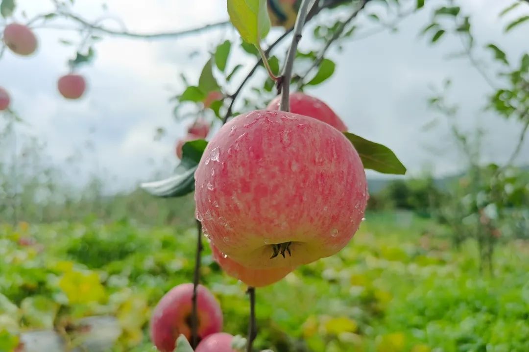 晋宁诗意的栖居地
