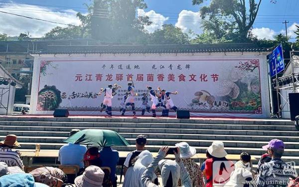 元江青龙驿菌香美食文化节举办