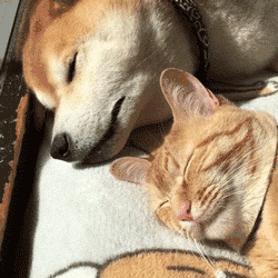 滇池旅游度假区