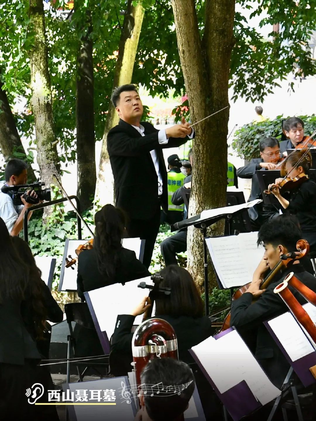 云南省文化和旅游厅