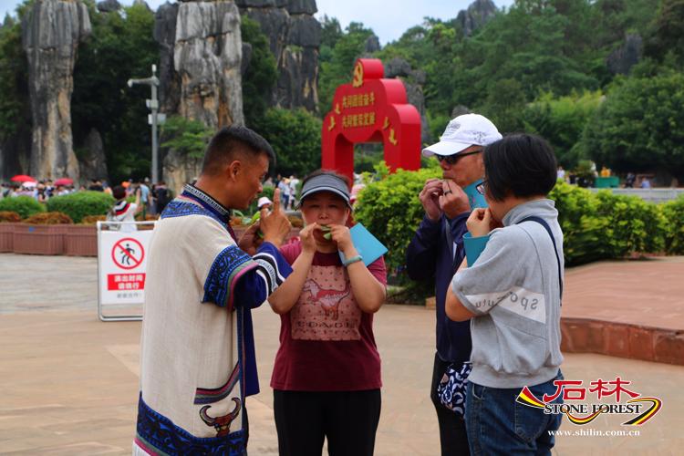 石林旅游网