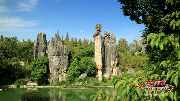 石林旅游网
