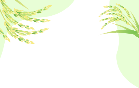 云南政法