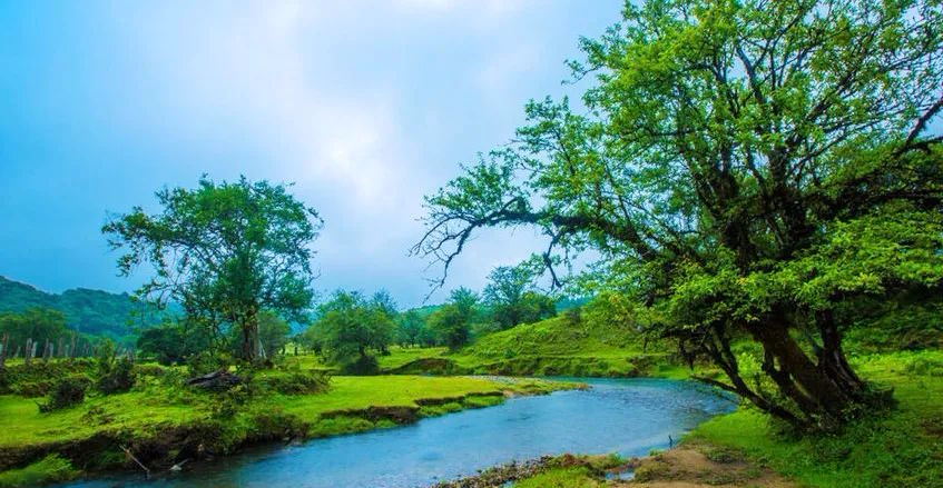 云南省文化和旅游厅