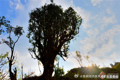 昆明经济技术开发区管委会