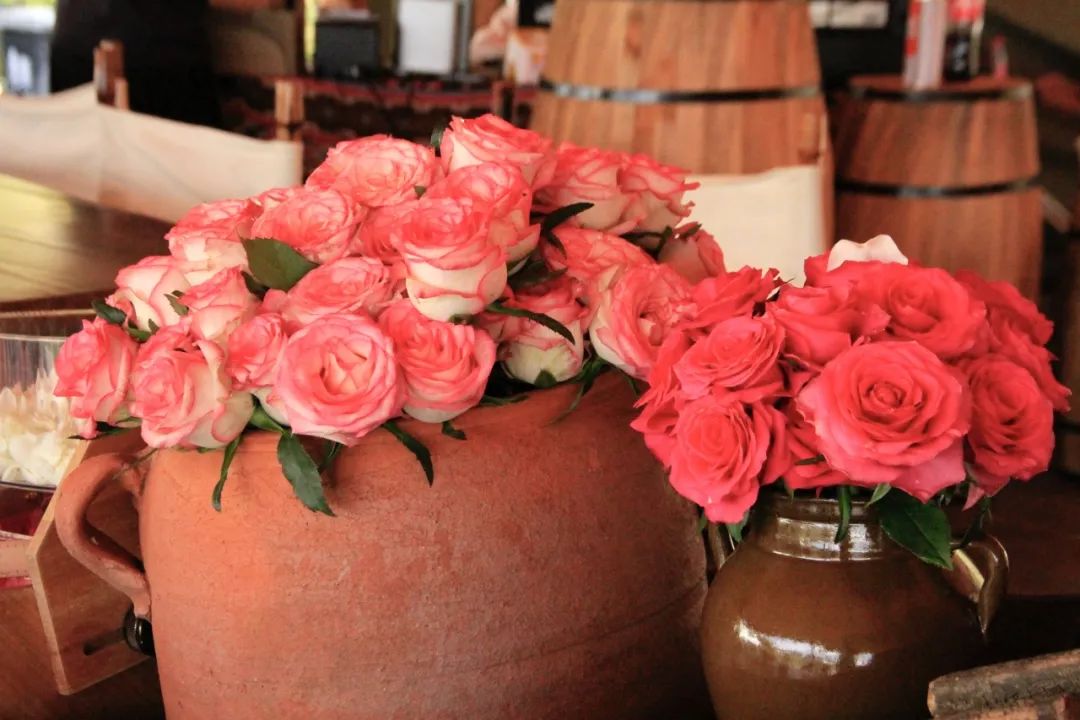 晋宁诗意的栖居地