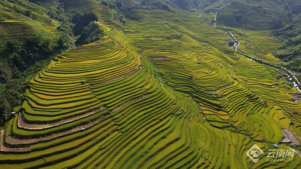 云南省文化和旅游厅