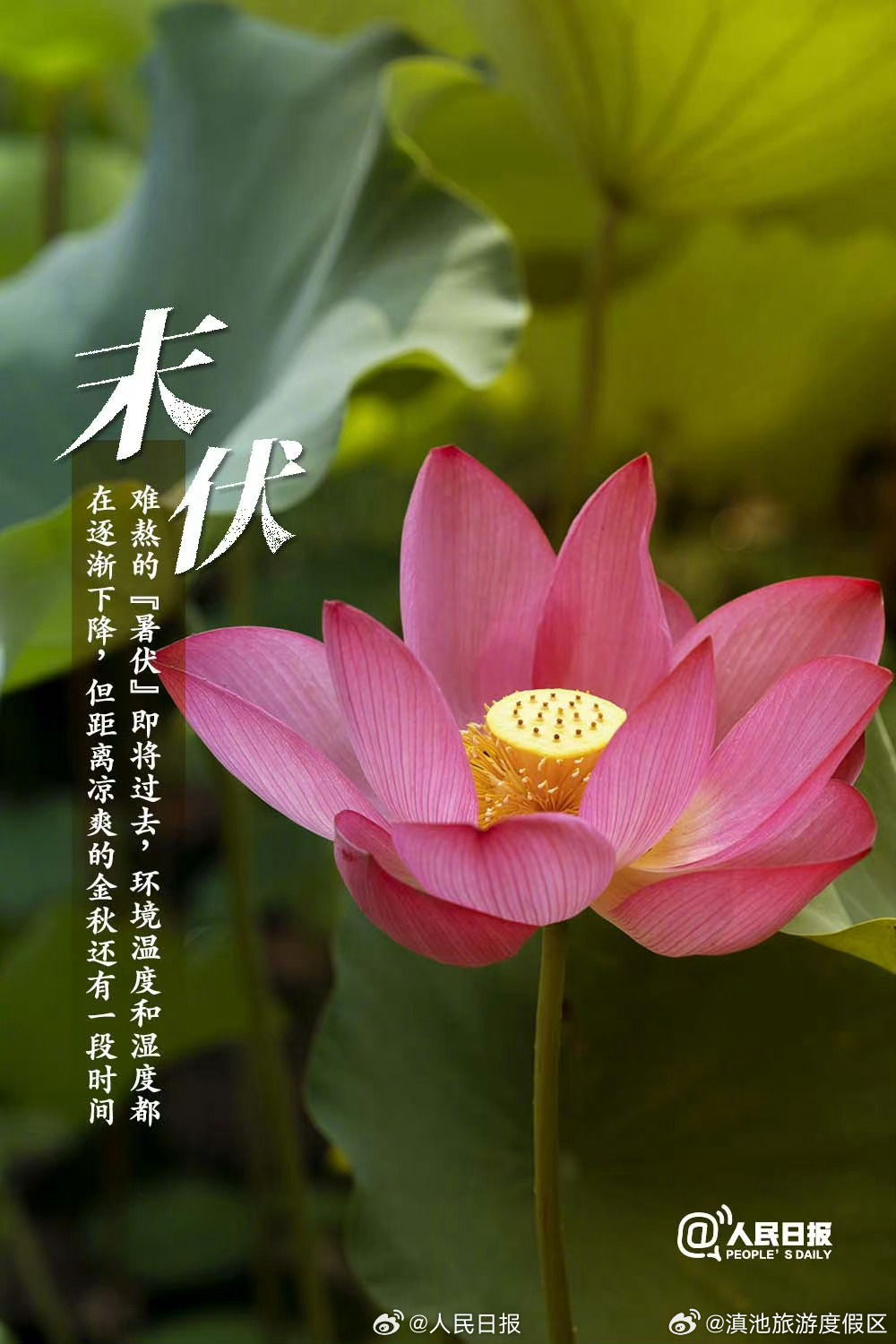 滇池旅游度假区