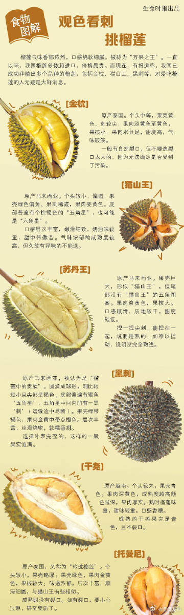 6种榴莲哪种果实更饱满？